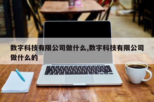 数字科技有限公司做什么,数字科技有限公司做什么的