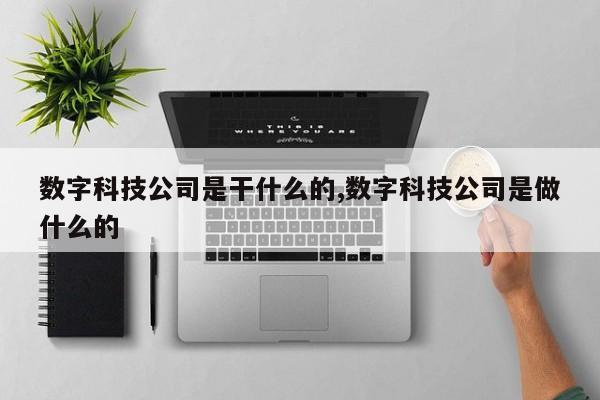 数字科技公司是干什么的,数字科技公司是做什么的